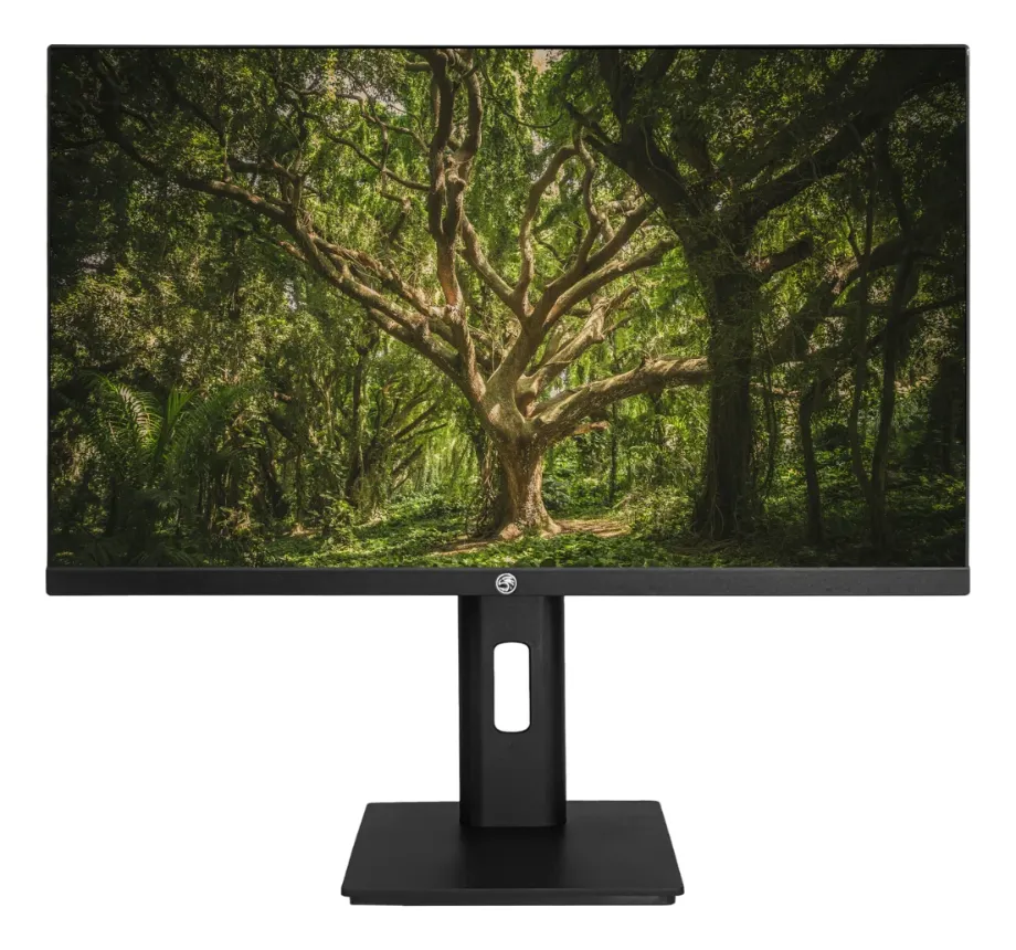 MONITOR LED 23.8 ERGONOMICO AJUSTAVEL BRAZIL PC P NFe 181537 GPJ